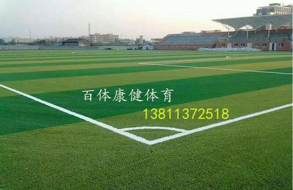 人造草坪足球場（chǎng）